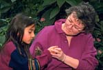 Tropical Butterfly House